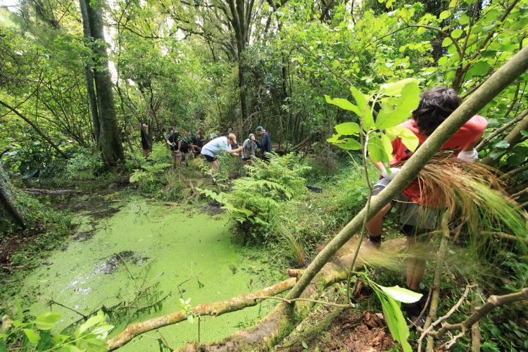 Ruamahanga Restoration Trust