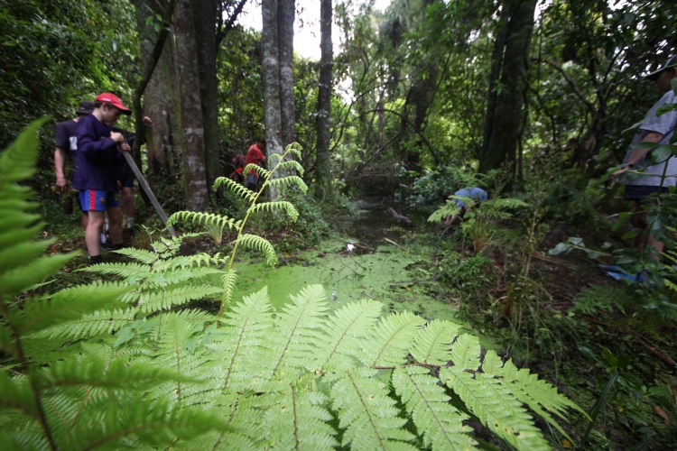 Ruamahanga Restoration Trust