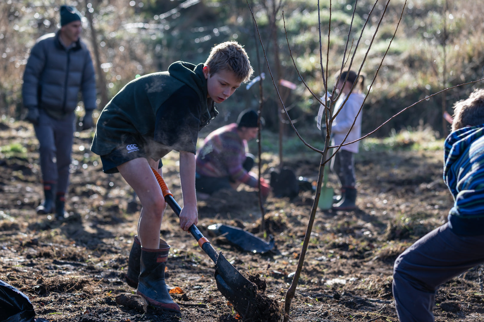 Students planting native trees.