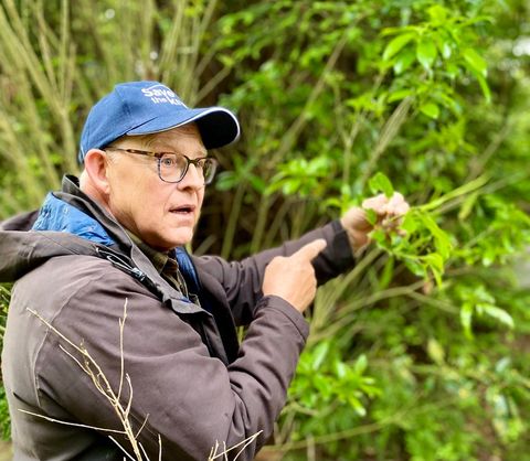 Mt Bruce Biodiversity Field Trip