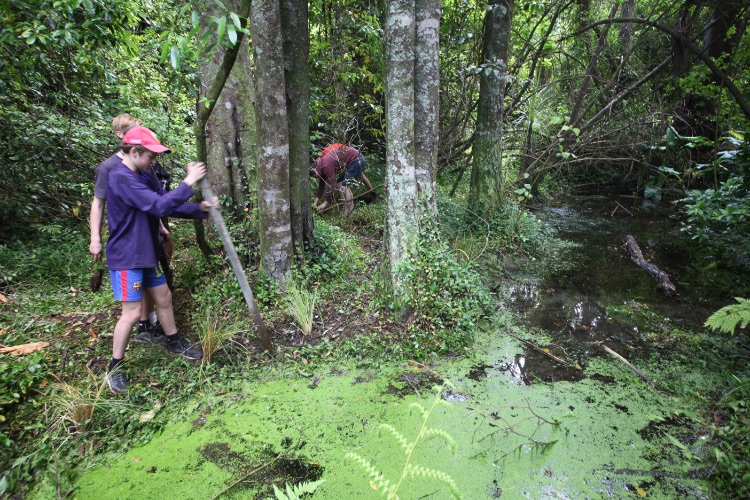 Ruamahanga Restoration Trust