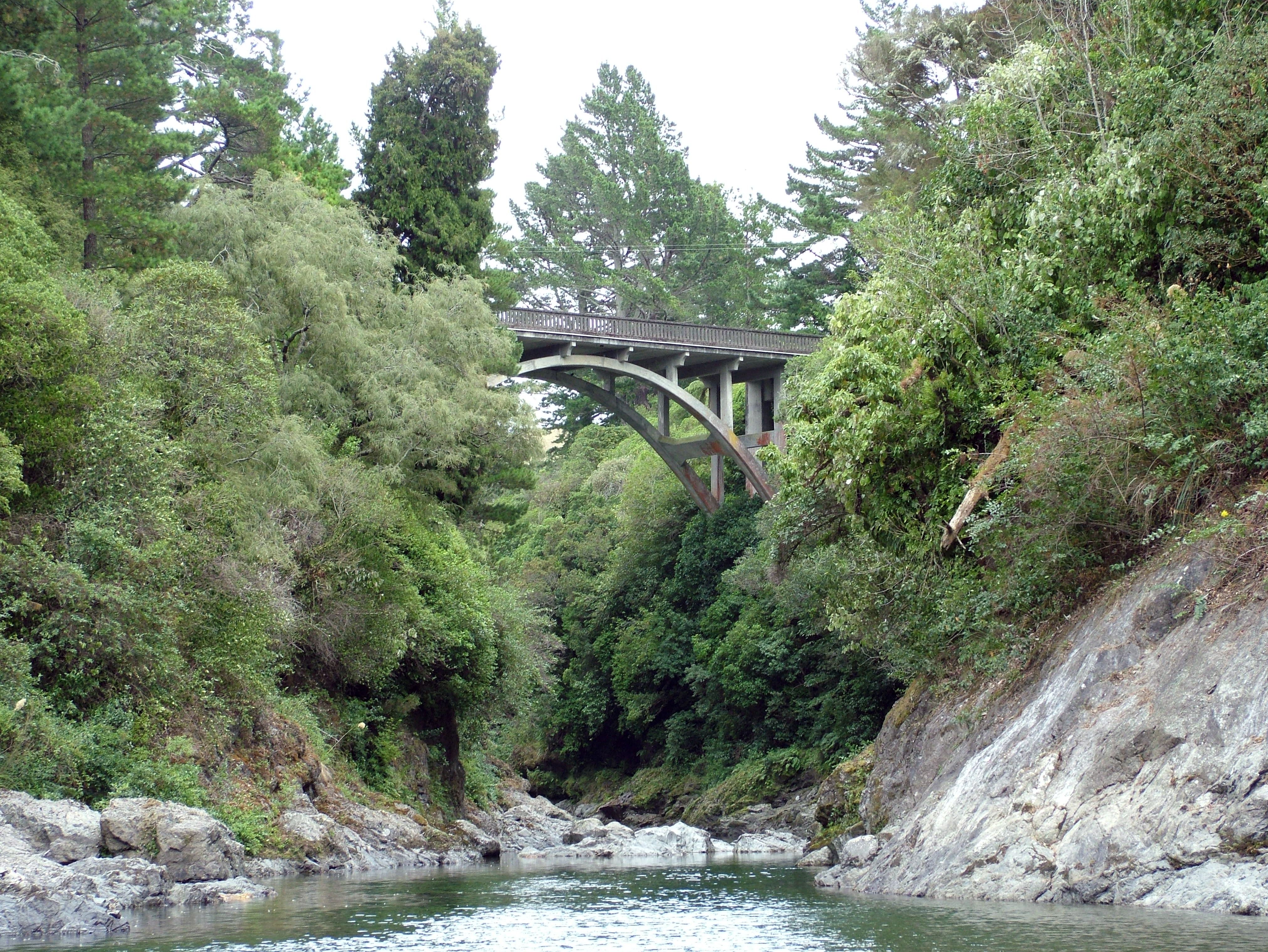 Mt Bruce Pukaha Bridge. Photo Gareth Winter