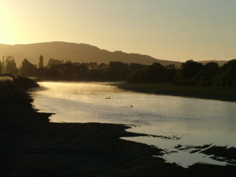 Martinborough Morning. Photo Gareth Winter