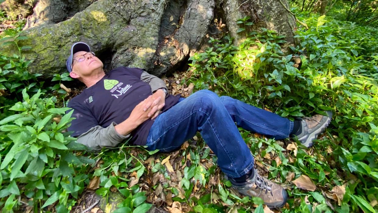 Ruud Kleinpaste lying under a 600-year-old kahikatea tree at Rathkeale College