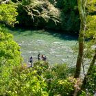 Mokomoko Field Trip