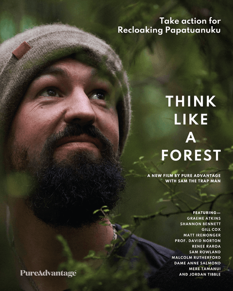 Think Like a Forest film